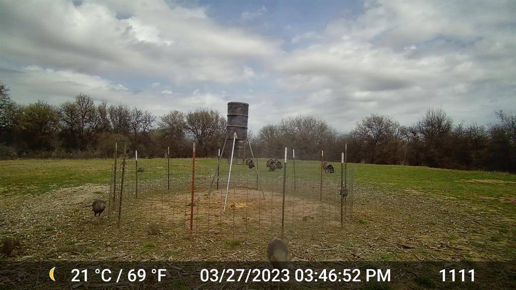 Hawley, TX 79525,11653 PR 315 Parcel C