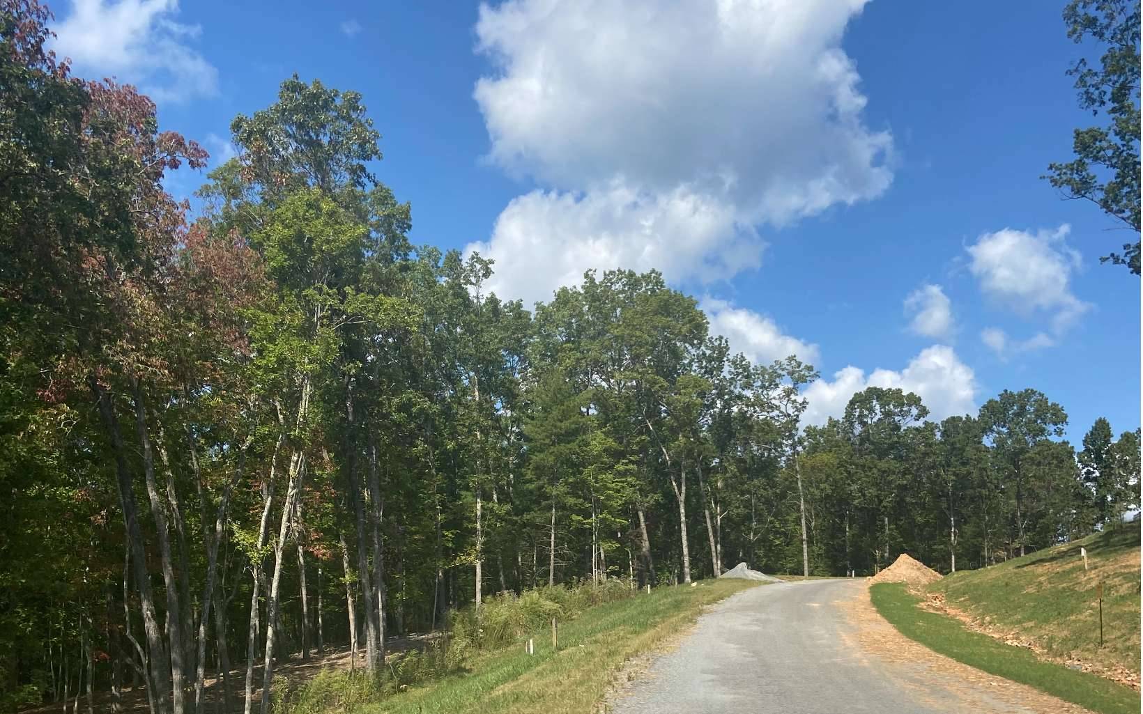 Morganton, GA 30560,Lot 41 Ridge Drive