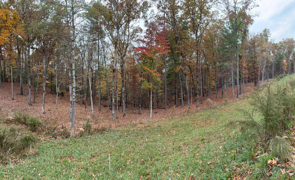 Morganton, GA 30560,Lot 41 Ridge Drive