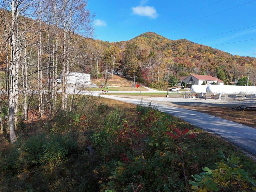 Blairsville, GA 30512,9.77 Acr Rosemary Drive