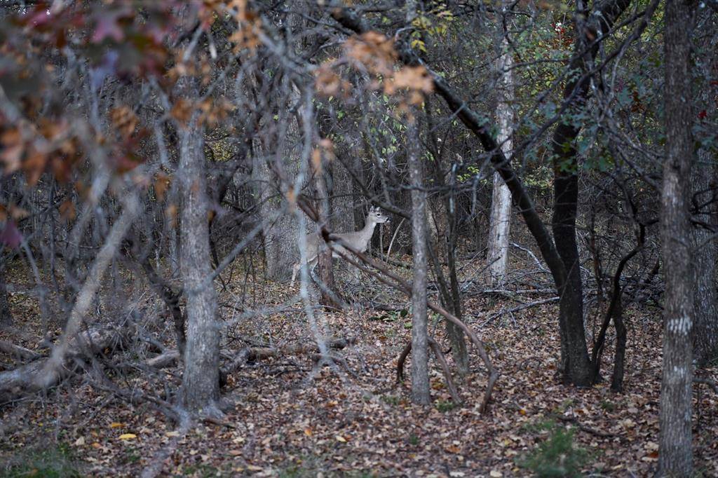 Azle, TX 76020,800 Boling Ranch Road