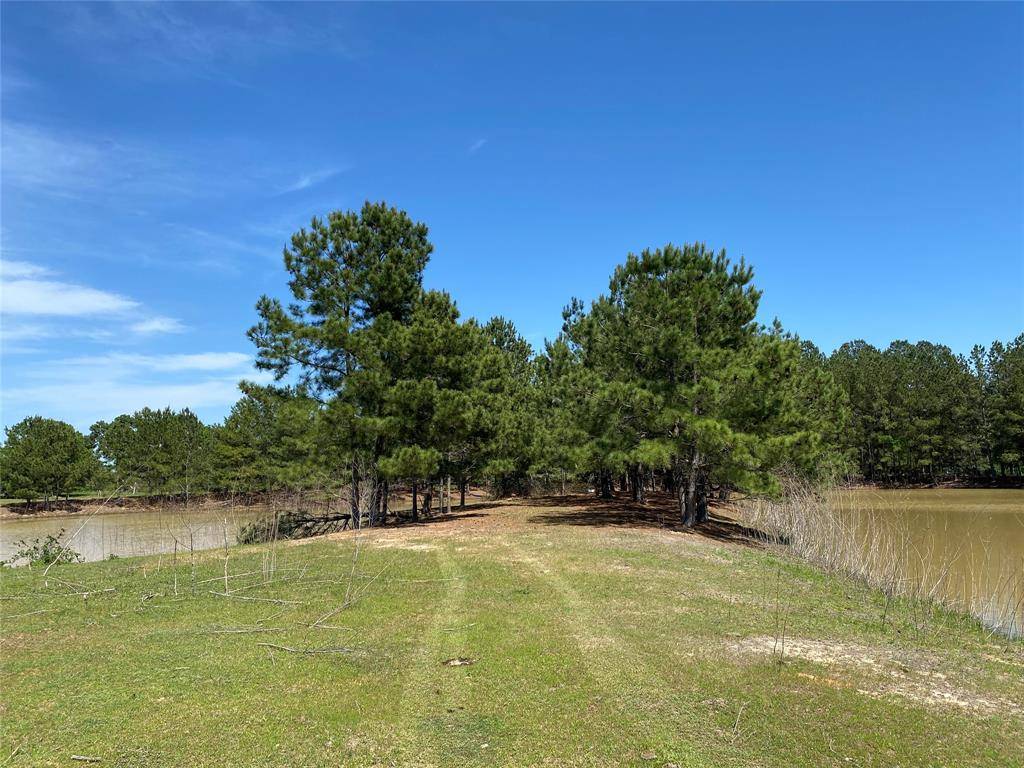 Quitman, TX 75783,1215 CR 4165