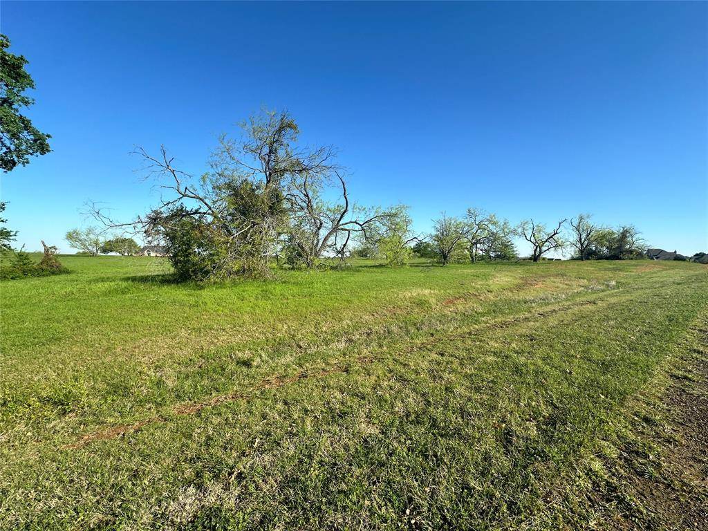 Streetman, TX 75859,Lot 81 Moonlight Bay Court