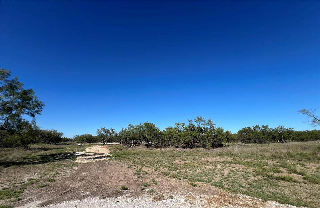 Albany, TX 76430,Lot 4 Fandangle Dr