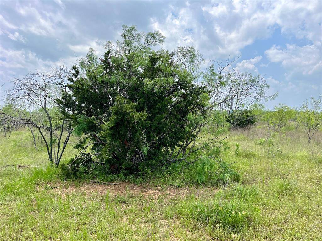 Blum, TX 76627,Tbd Hcr-1159