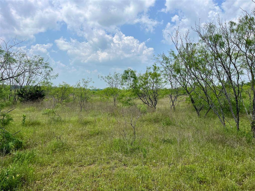 Blum, TX 76627,Tbd Hcr-1159