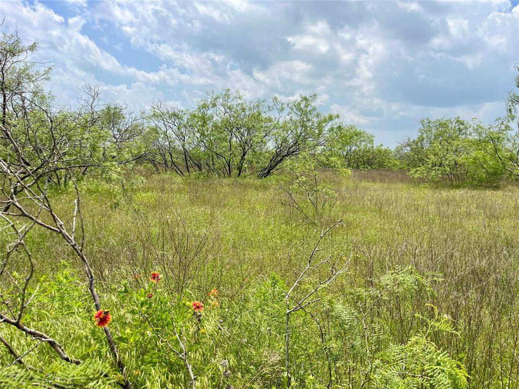 Blum, TX 76627,Tbd Hcr-1159