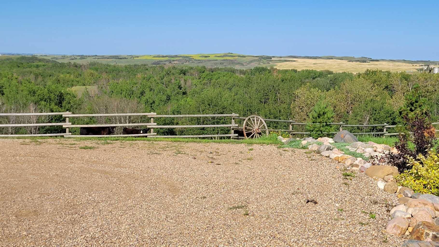 Rural Stettler No. 6 County Of, AB T0J0G0,35310 Range Road 20-1 RD