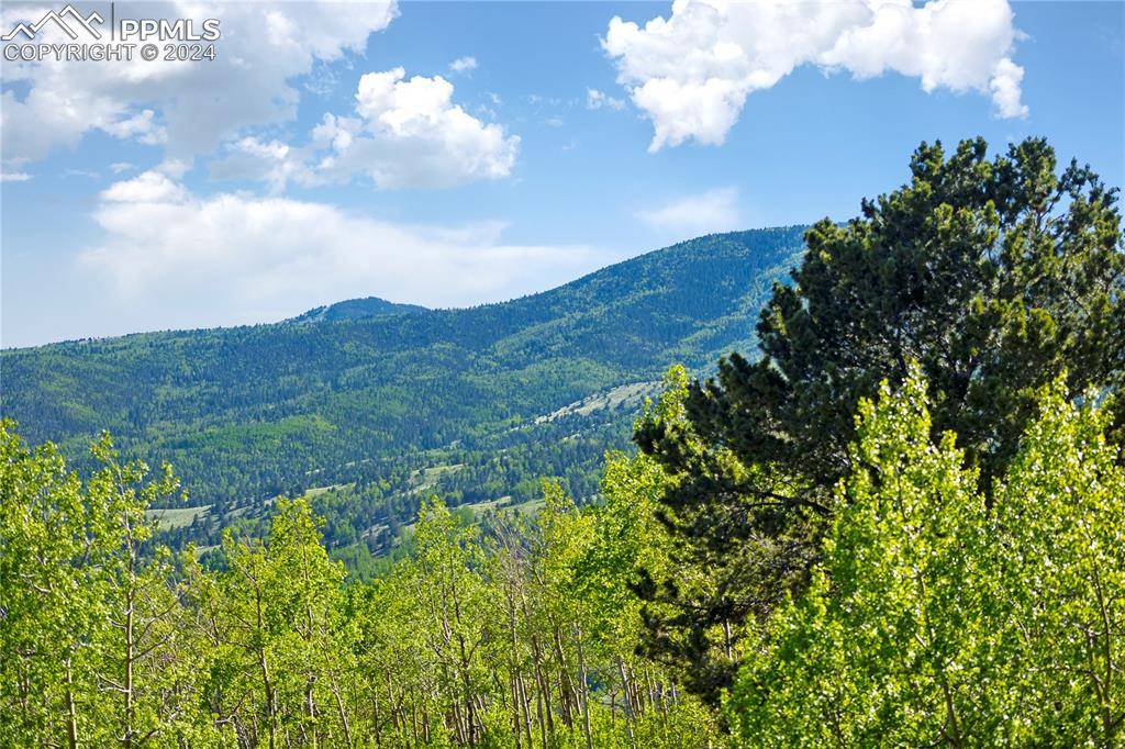 Cripple Creek, CO 80813,6753 County Road 8