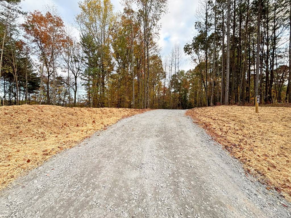 Ellijay, GA 30540,Lot 2 Mt. Springer Road