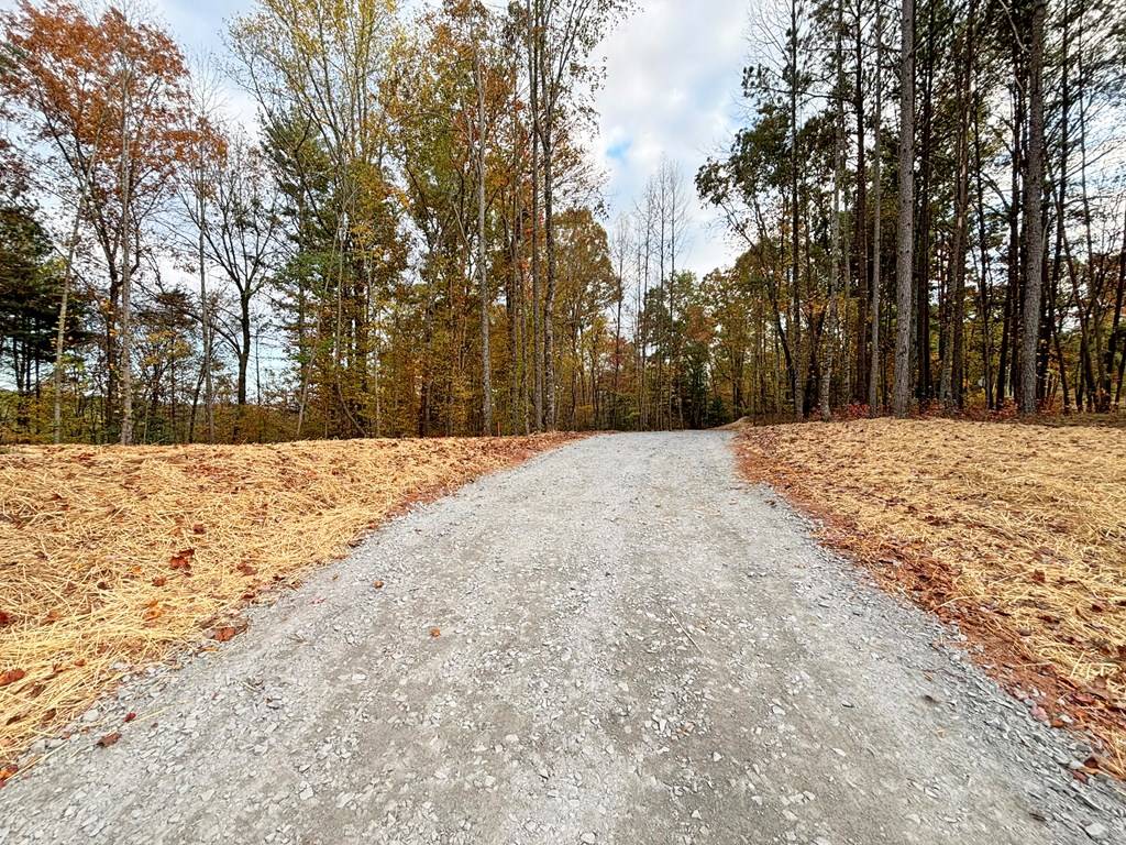 Ellijay, GA 30540,Lot 2 Mt. Springer Road