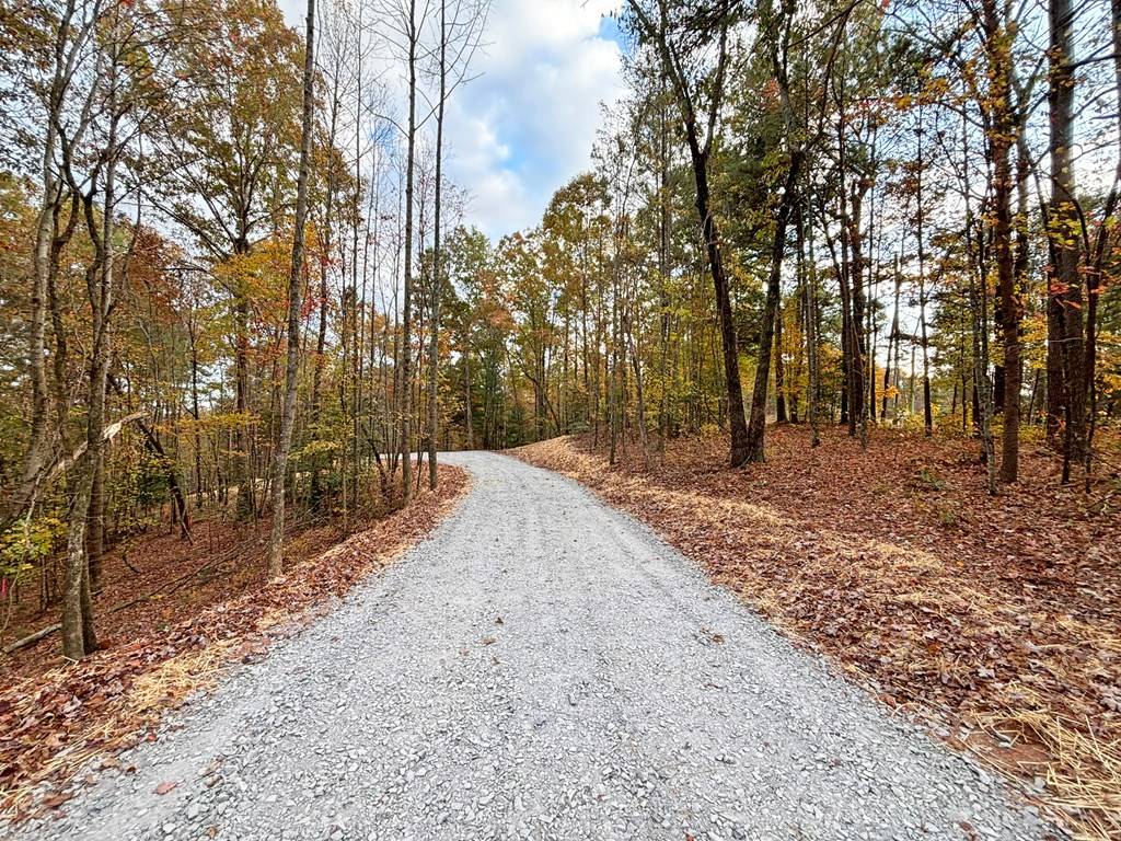 Ellijay, GA 30540,Lot 2 Mt. Springer Road