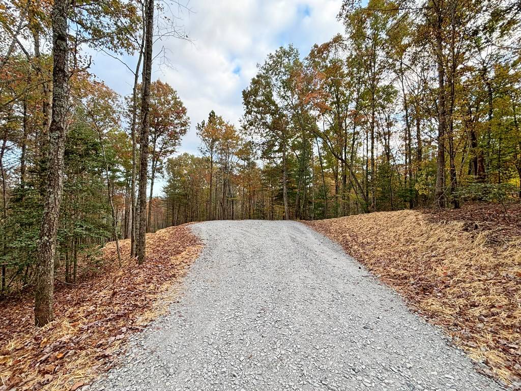 Ellijay, GA 30540,Lot 2 Mt. Springer Road