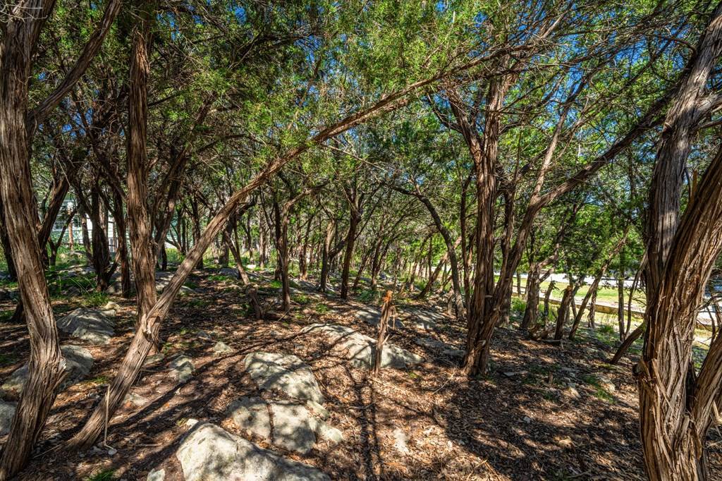 Kerrville, TX 78028,Lot 16 -- Homer Dr