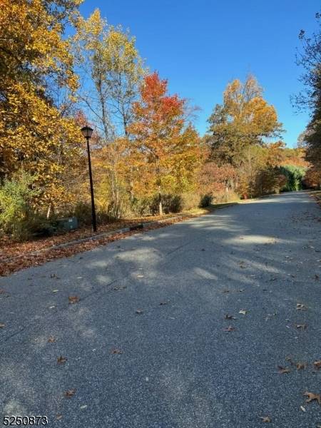 Montville Twp., NJ 07045,20 Quarry Mountain Ln