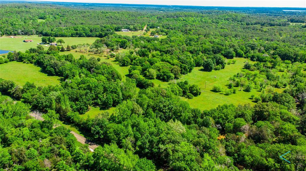 Larue, TX 75770,7 Acres FM 315