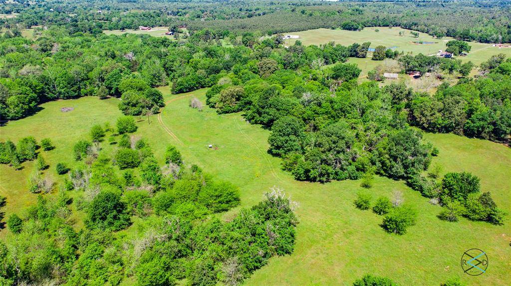 Larue, TX 75770,7 Acres FM 315