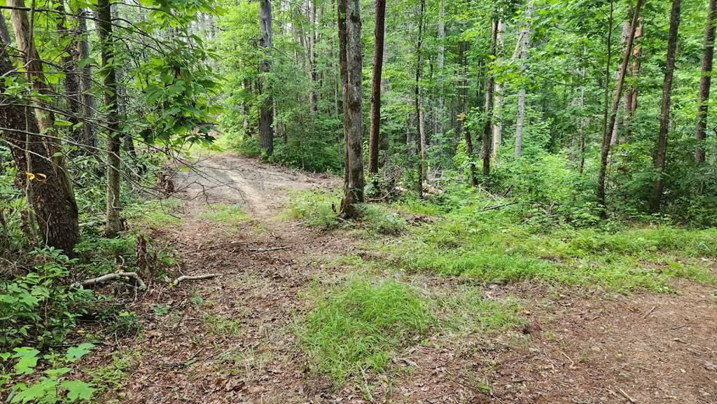 Copperhill, TN 37317,000 Tumbling Creek Road