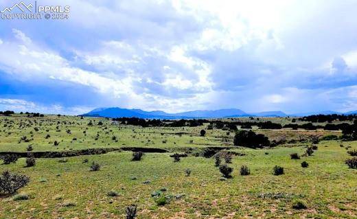 Walsenburg, CO 81089,Venado DR