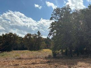 Nocona, TX 76255,Lot 19 Red Oak Hills Road