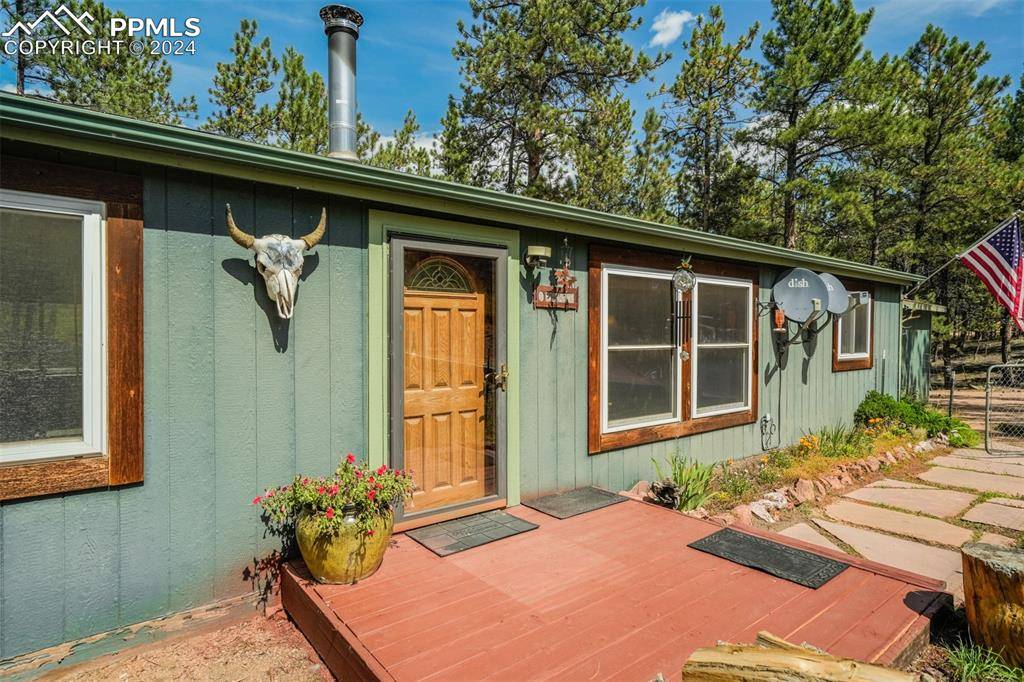 Florissant, CO 80816,75 Paint Brush DR