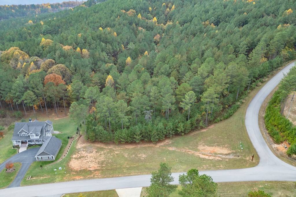 Blairsville, GA 30512,Lot 120 The Stables In 1300