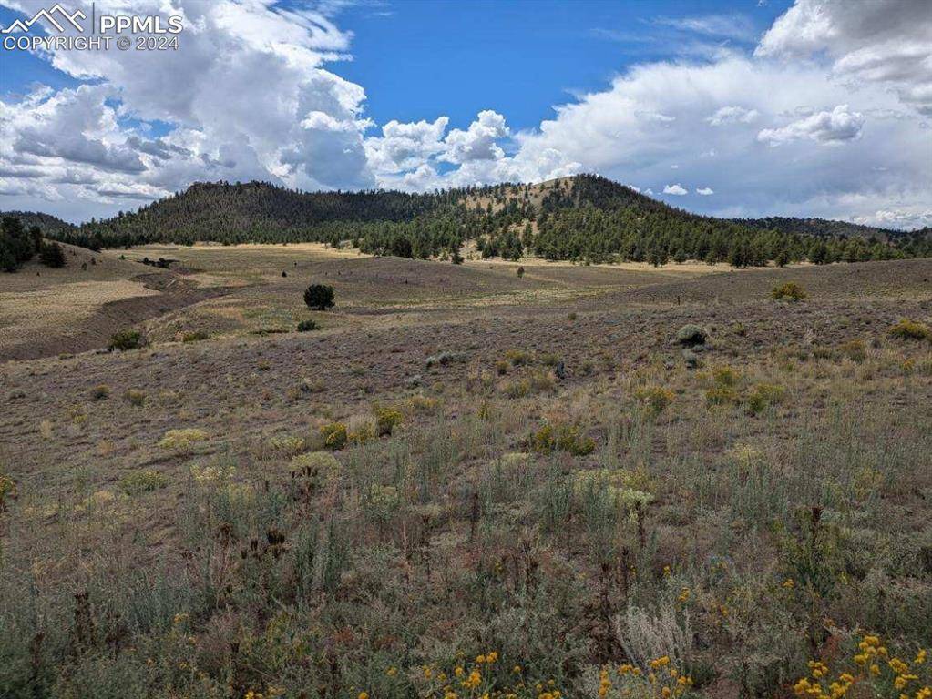 Hartsel, CO 80449,Chickadee DR