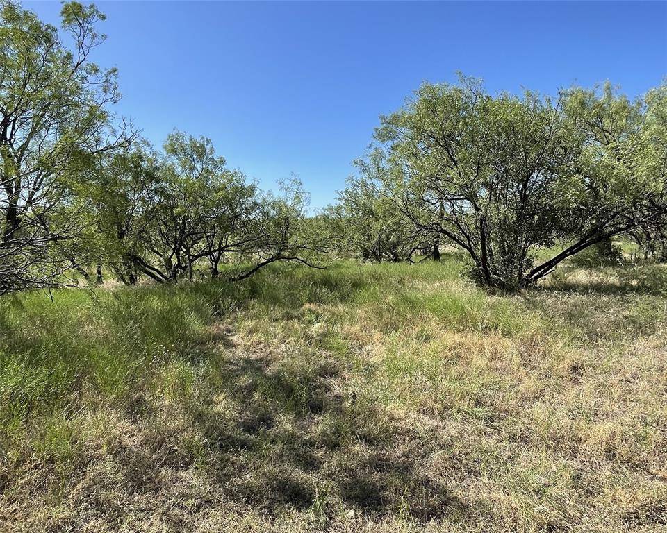 Abilene, TX 79601,TBD CR  105