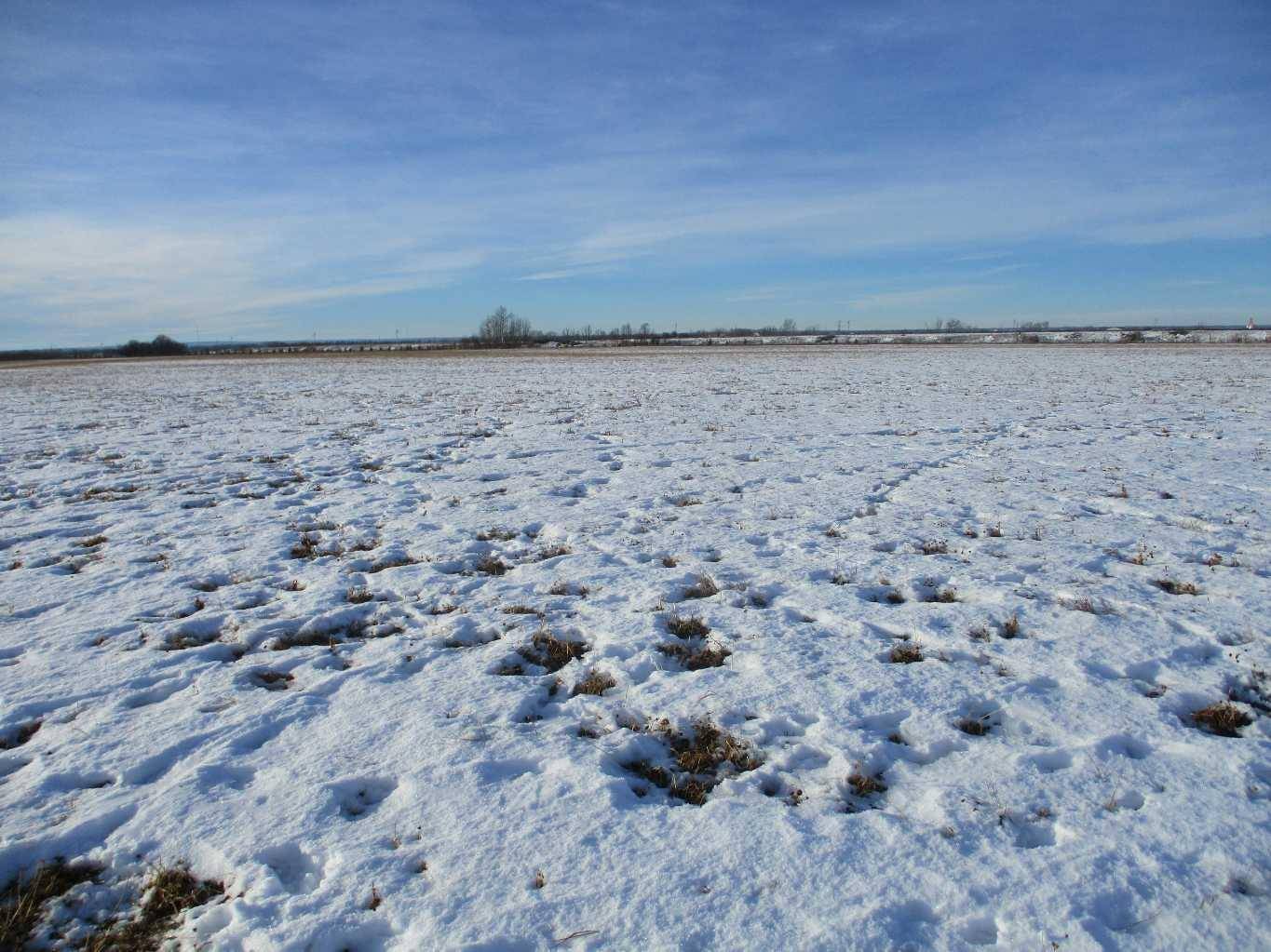 Manning, AB T0H 2M0,920 Township Road