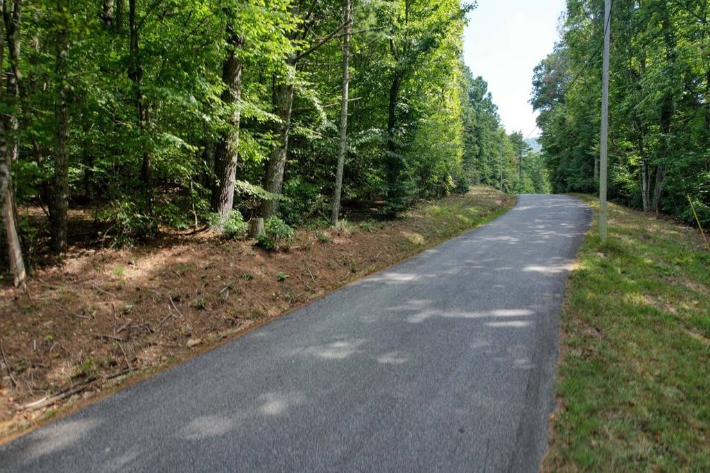 Blairsville, GA 30512,19.5AC Mason Road