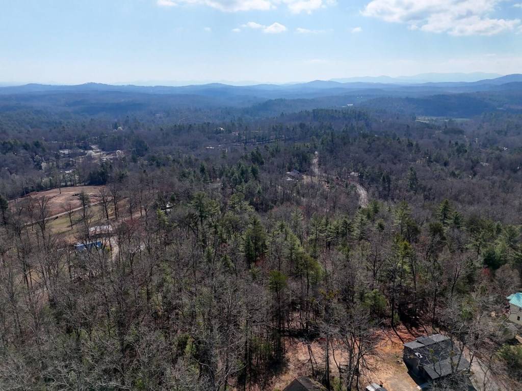 Blue Ridge, GA 30513,Lot B9 Bent Wood Lane