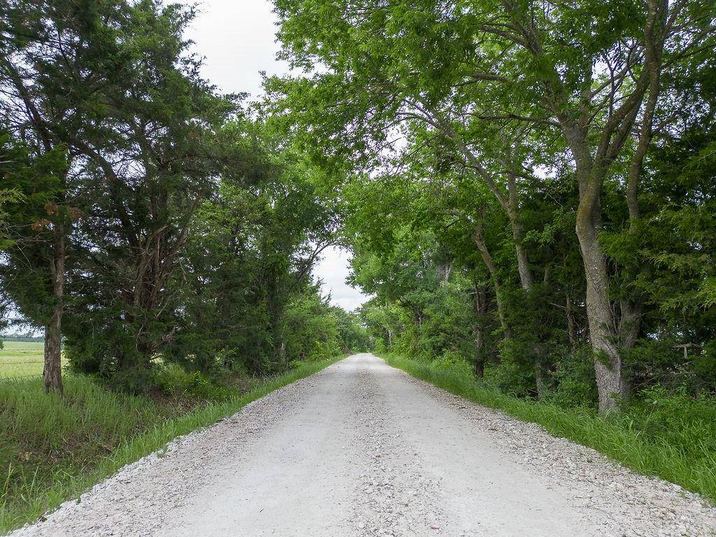 Cumby, TX 75433,TBD County Road 4721