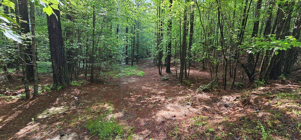 Blairsville, GA 30512,Lot 196 Carriage Lane NW