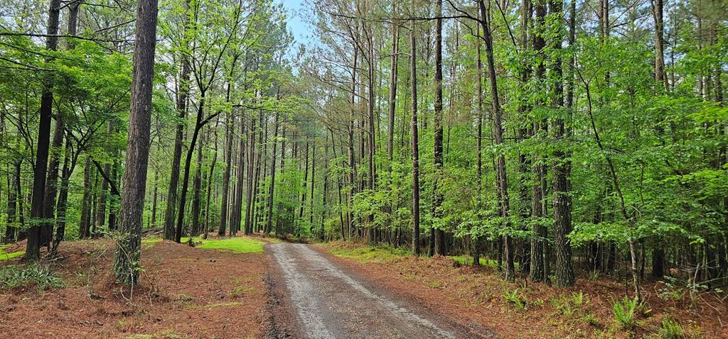 Blairsville, GA 30512,Lot 196 Carriage Lane NW