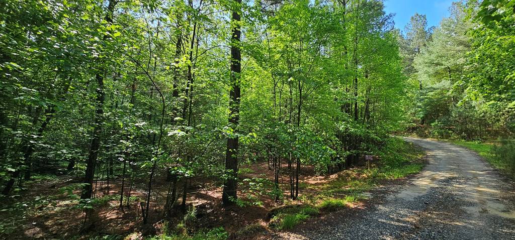 Blairsville, GA 30512,Lot 196 Carriage Lane NW