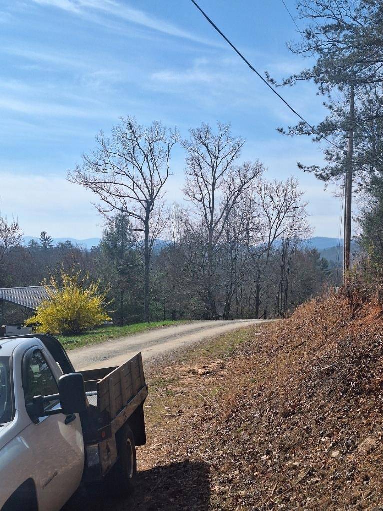 Blue Ridge, GA 30513,Lot B32 Bent Wood Lane