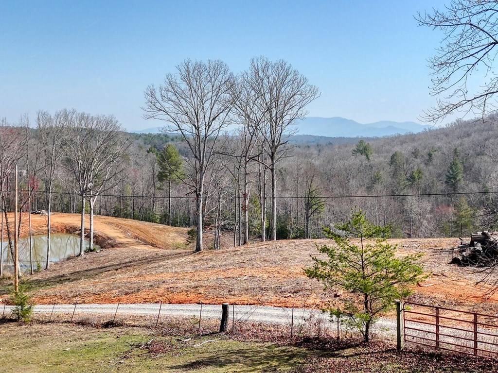 Blue Ridge, GA 30513,Lot B32 Bent Wood Lane