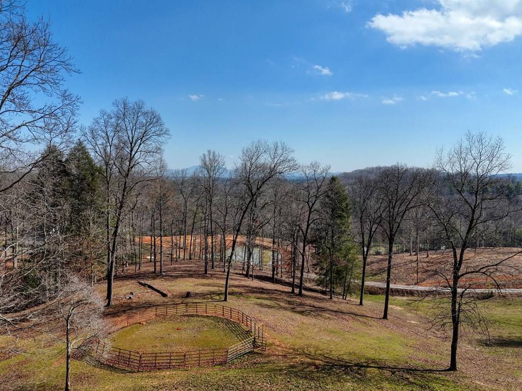 Blue Ridge, GA 30513,Lot B32 Bent Wood Lane