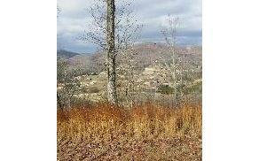 Hayesville, NC 28904,LOT45 Pinnacle Drive