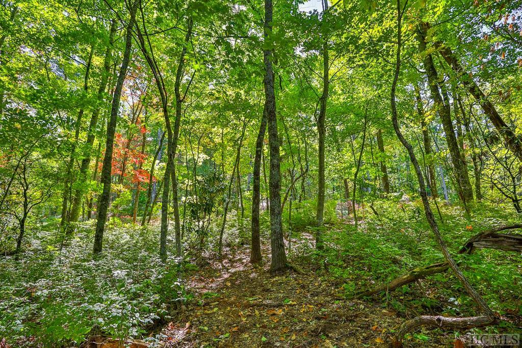 Cashiers, NC 28717,56 Ramble Ridge Road