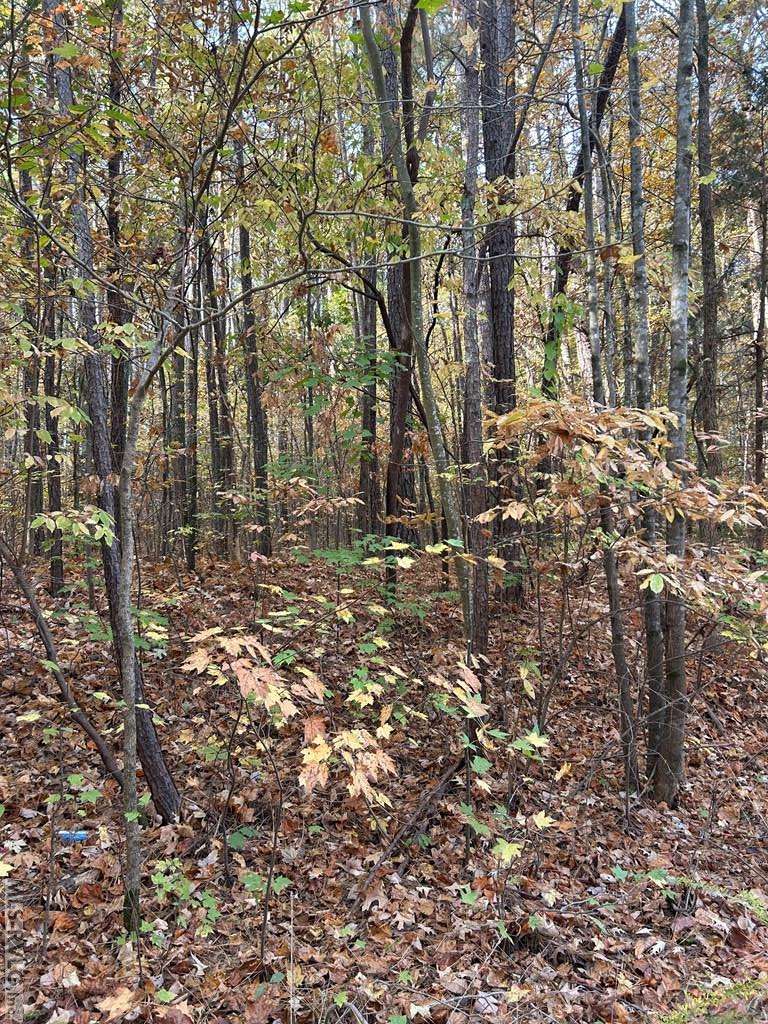 Littleton, NC 27850,Lot 12 Greenvalley Drive