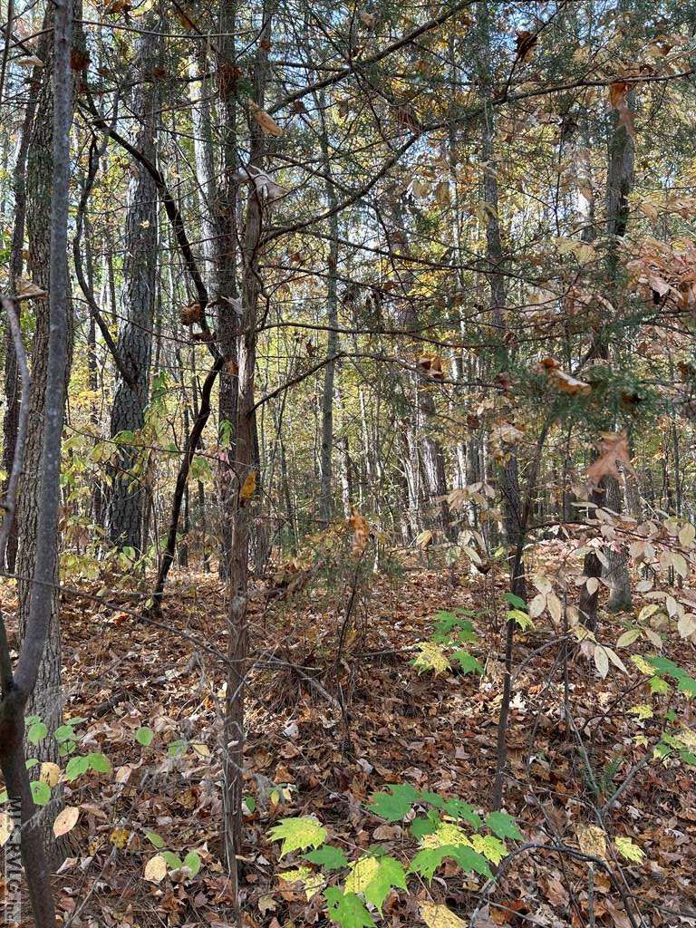 Littleton, NC 27850,Lot 12 Greenvalley Drive