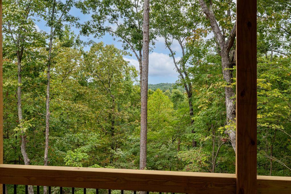 Ellijay, GA 30540,121 Jonquil Lane