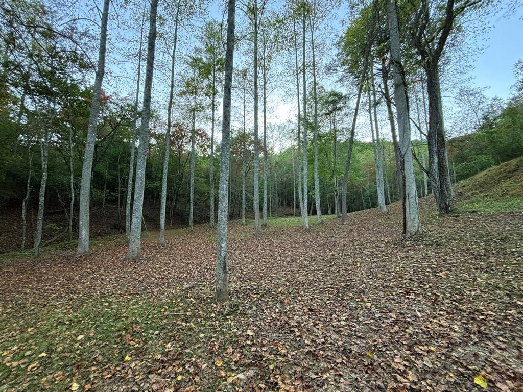 Mineral Bluff, GA 30559,10AC Humphrey Mill Road