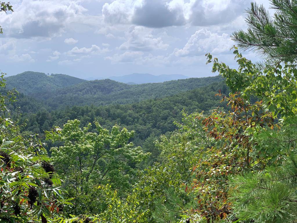 Murphy, NC 28906,Lot 40 Stone Creek Falls