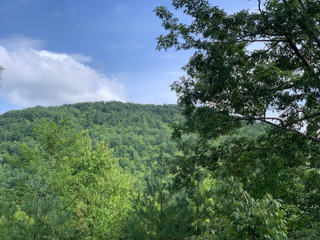 Murphy, NC 28906,Lot 40 Stone Creek Falls