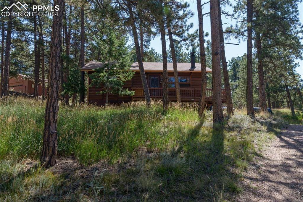 Florissant, CO 80816,54 Arrowhead LN