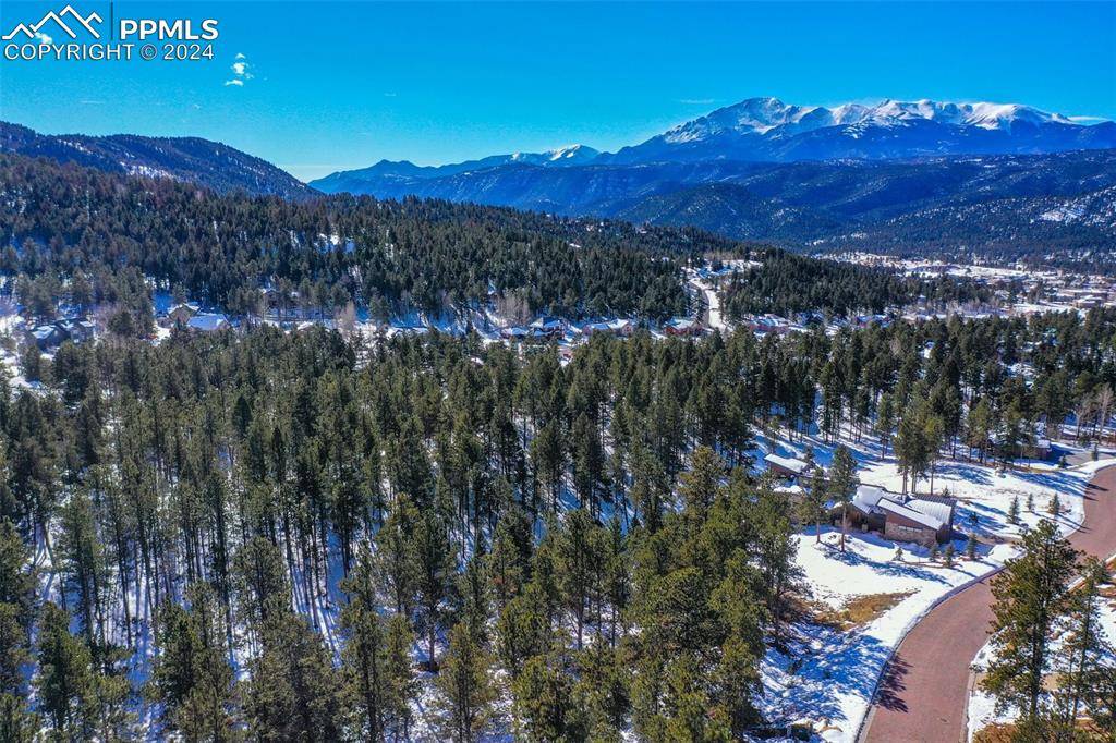 Woodland Park, CO 80863,271 Thunder Ridge DR