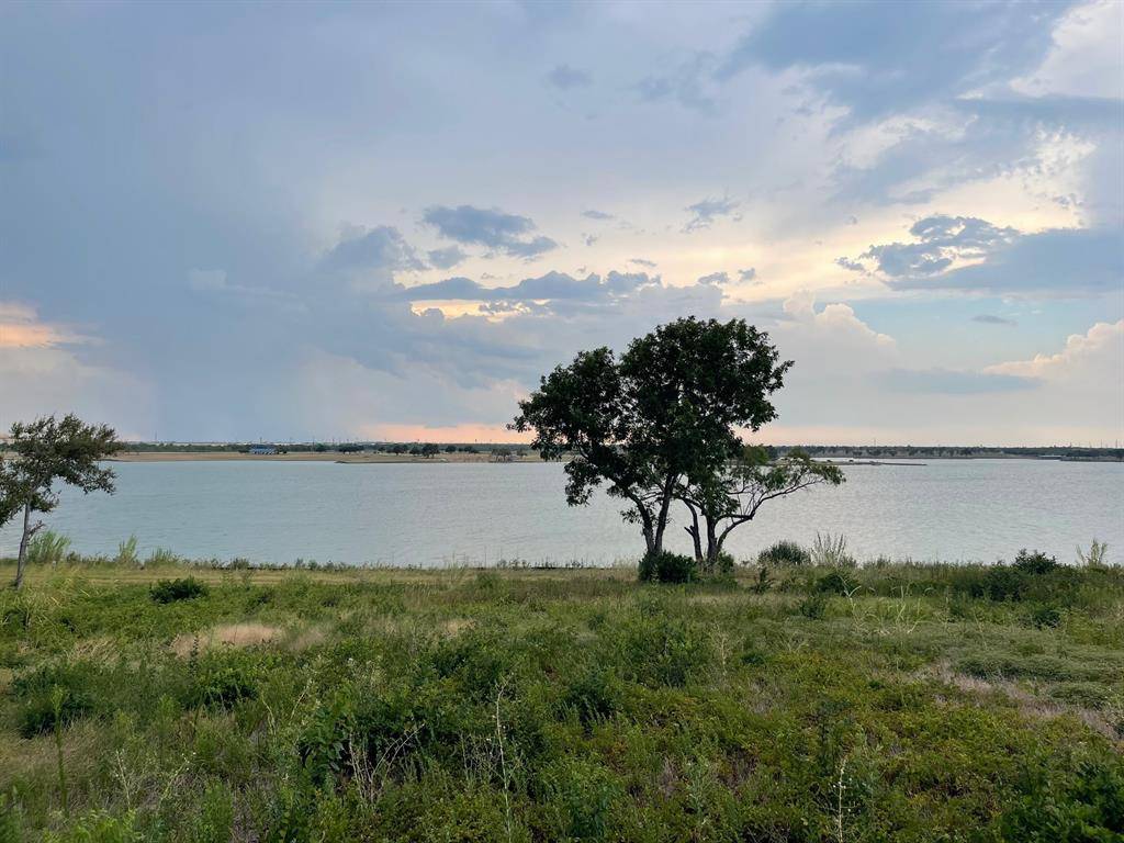 Corsicana, TX 75109,Lot 91 Shoreside Drive