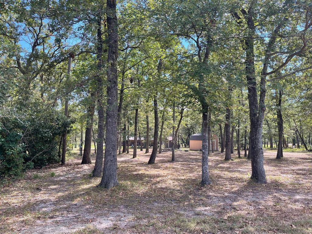 Streetman, TX 75859,Lot 15 Susan Grove Boulevard